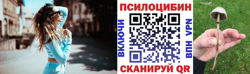 Псилоцибиновые грибы ЛСД  это наркотические препараты  Ногинск 