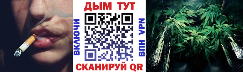 закладка  гидра вход  Бошки марихуана THC 21%  Ногинск 